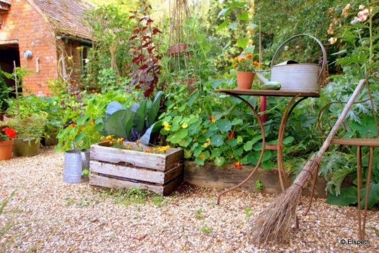 Veg garden