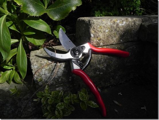 6 Essential Garden Tools - Gardening