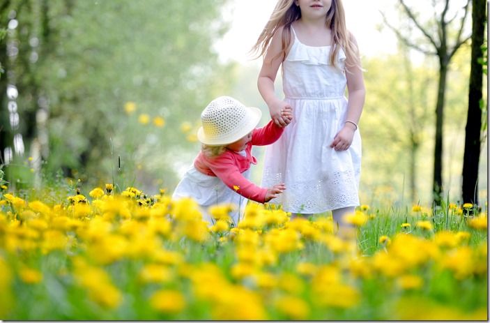 löwenzahnwiese mir kindern