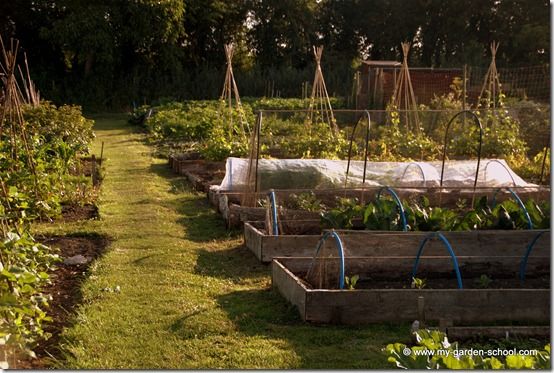 Allotments