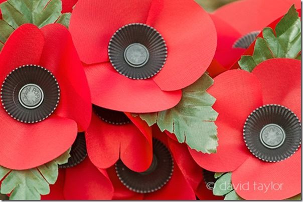 Poppies on a war memorial in the Northumbrian village of Wark, Northumberland, England