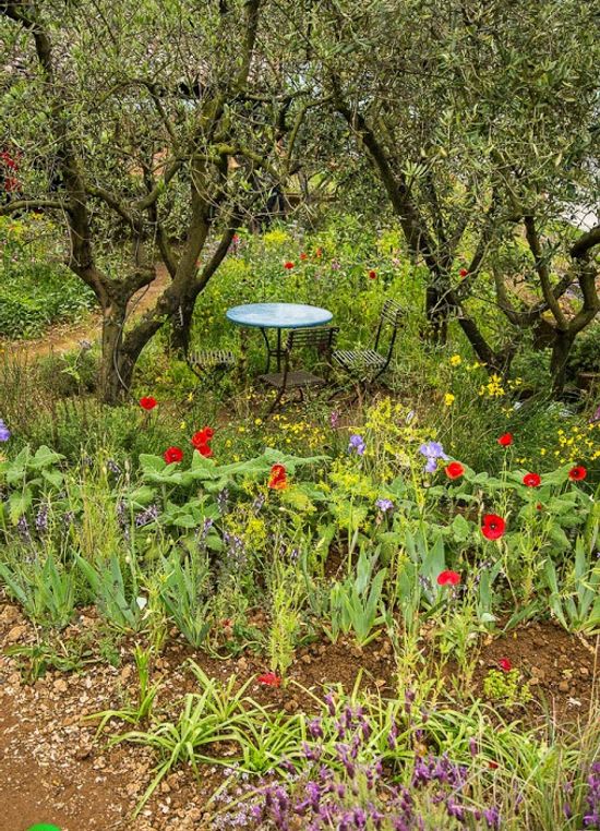 The perfume garden Chelsea Flower Show 2015