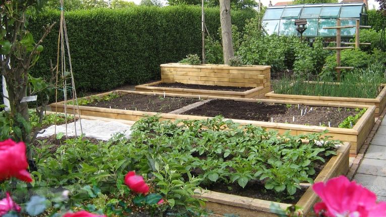 How Do You Build A Raised Bed Gardening Learning With Experts