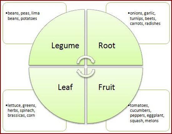 5 Crop rotation