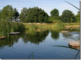 Natural water pool