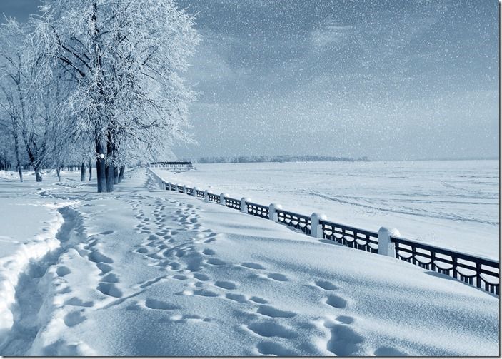 Winter nature, 