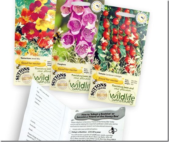 Wildlife Sanctuary Seeds