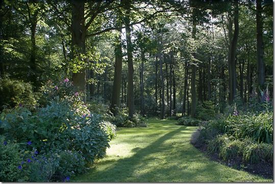 Online courses, sowing a new lawn, how to sow a new lawn, grass seed, lawns, lawn seed, Lawn care, Lawn maintainance, Ground preparation, grass seed mix,