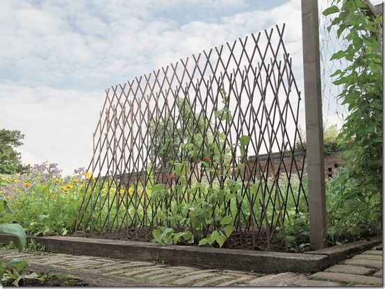 08787 Willow expandable bean pea frame