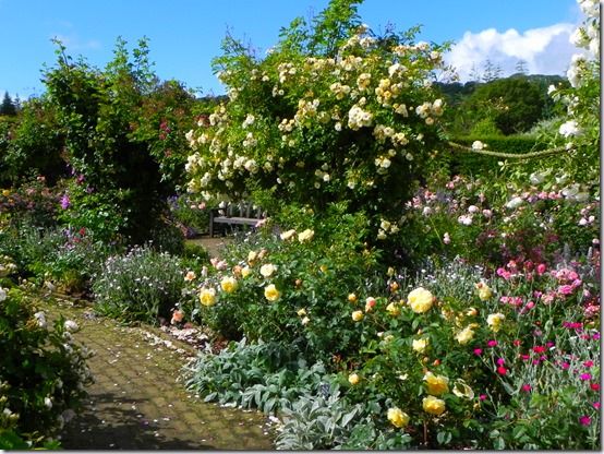 RHS Rosemoor, 10 Best UK Gardens to Visit in 2015