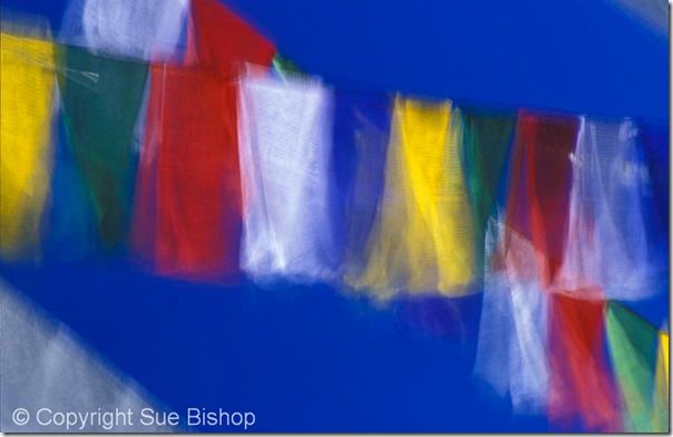 113 prayer flags