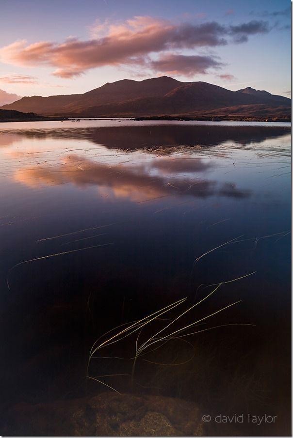 Grass growing in Loch Druidibeag, with the mountain, Maoil Daimh in the background, South Uist, Outer Hebrides, Scotland