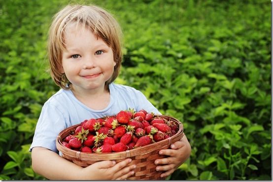 How To Grow Strawberries