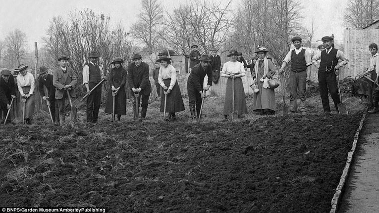 The History Of Allotments Gardening Learning With Experts