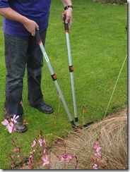 Online courses, sowing a new lawn, how to sow a new lawn, grass seed, lawns, lawn seed, Lawn care, Lawn maintainance, Ground preparation, grass seed mix,