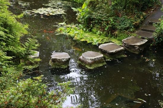 2 The Japanese Water Garden