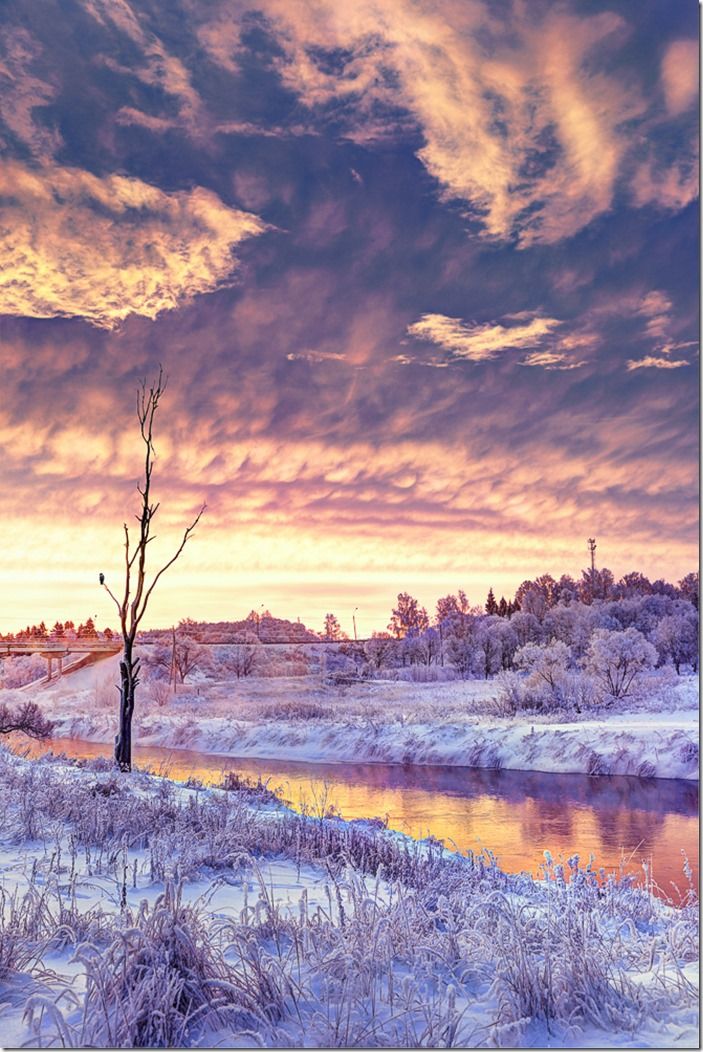 Winter dawn in the Moscow region. Frost