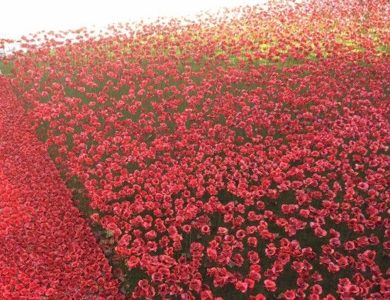 10 888.256 handmade ceramic poppies