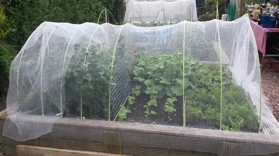 4 Using insect barrier mesh