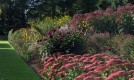 Planting Design