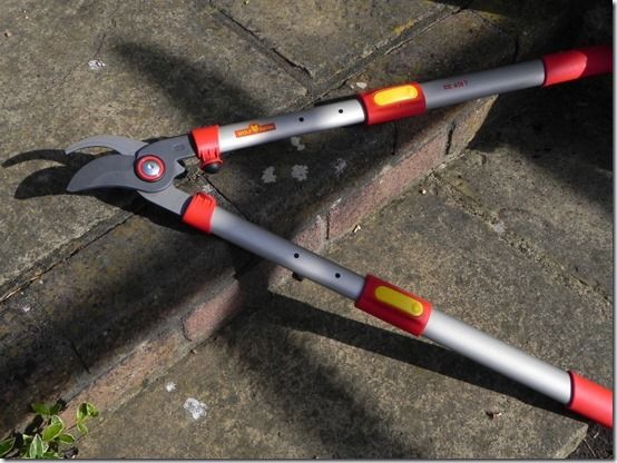 9 extendable  loppers