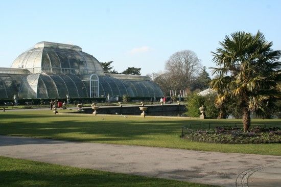 The Palm House, Kew