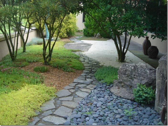 8 gravel with carpeting plants