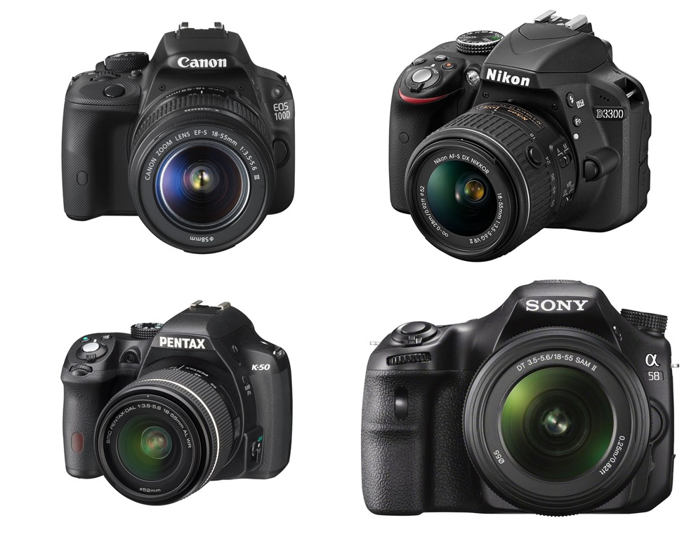 best beginners dslr camera