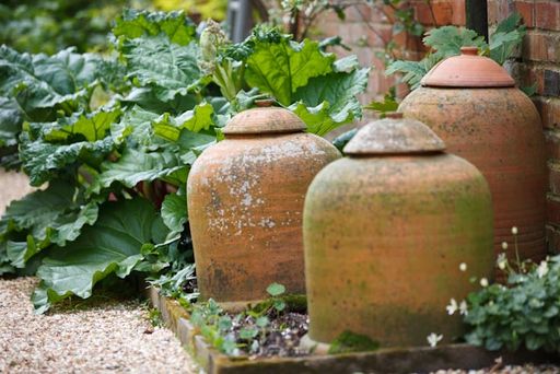 Kitchen Gardening, Vegetable Gardening & How to Grow Vegetables