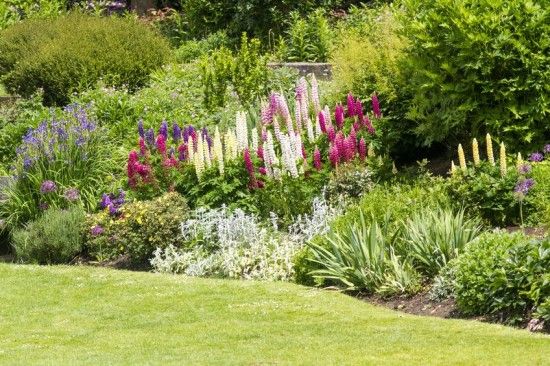 Planting a Large garden