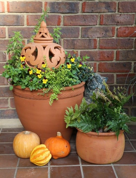 3 Pots, pumpkins and terracotta lantern