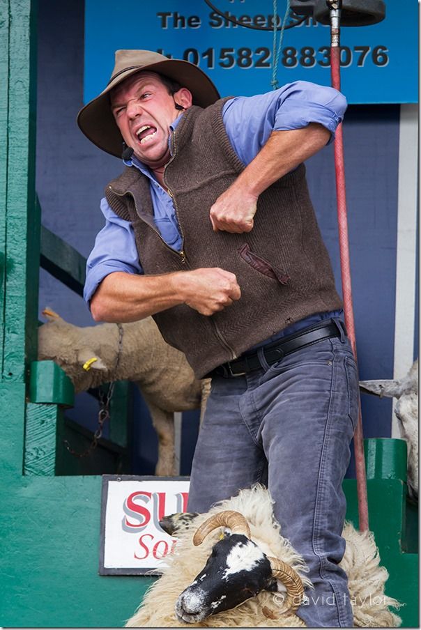 Images from the Glendale Show 2012, held in the Northumberland National Park, England, continuous drive modes, frame buffer, Burst rate,  Event photography, sports photography, 