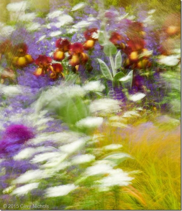 Garden & Flower Photography Online Course