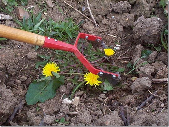 Total Weedkiller, Residual Weedkiller, Pre-emergent Weedkiller, Selective Weedkiller, couch grass,  perennial oat-grass, goose-grass, nettle, bramble, 