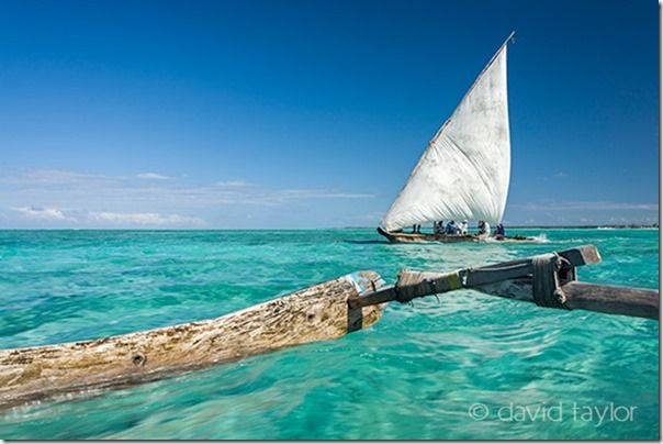 Traditional Dhow, Jambiani, Zanzibar