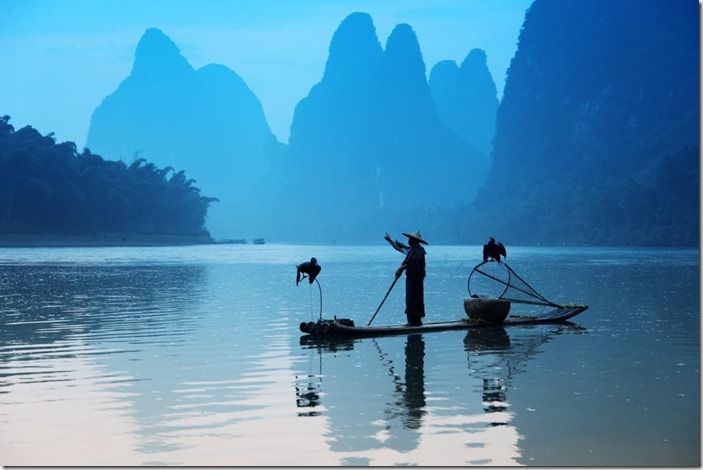 Chinese man fishing with cormorants birds, Yangshuo, Guangxi region, traditional fishing use trained cormorants to fish