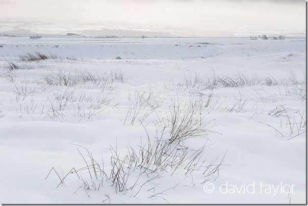 Snow-covered landscape between Housesteads Fort and Milecastle 37, Northumberland National Park, England