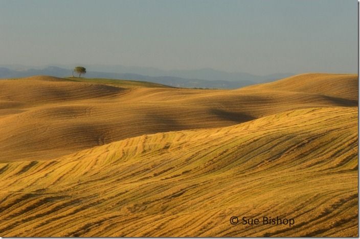 harvested fields, tuscany