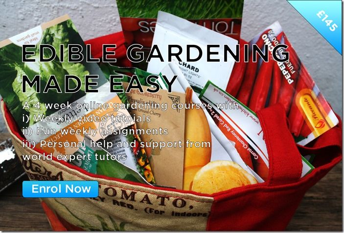 EDIBLE GARDENING