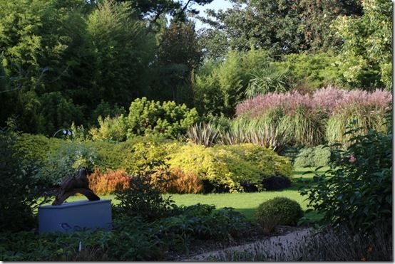 Winter Garden in Autumn