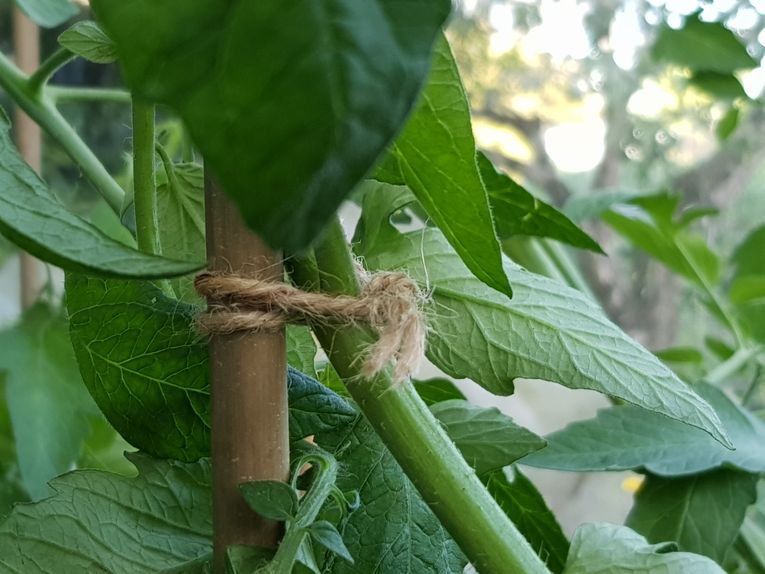 How to make hessian grow bags - by Sally Nex - Greenery