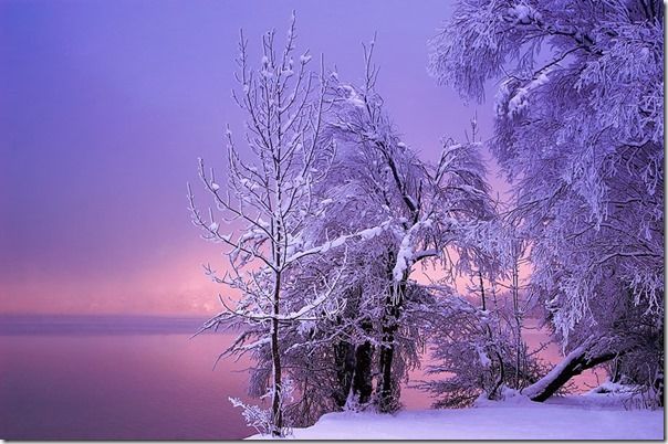 winter, landscapes, snow, frost, tips, better, photography