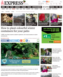 Daily Express Harriet Rycroft