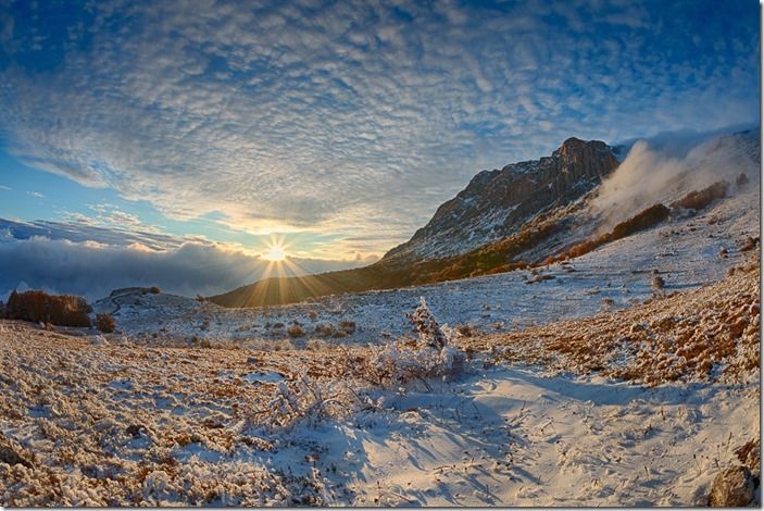 Winter landscape.