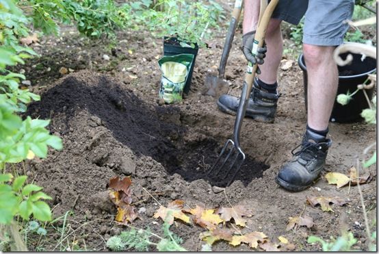 Mix in planting compost