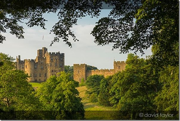 Alnwick Castle framed by trees on a summer's morning, Northumberland, England. The earliest parts of the castle date from the 11th century, though much has been added on over the intervening years, Video, movies, how to shoot video, digital camera, movie mode, 