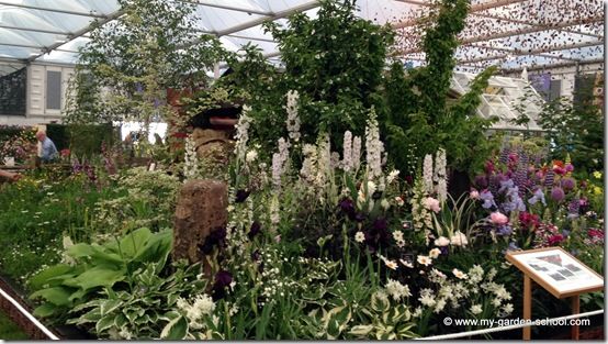Mixed Flowers Chelsea Flower Show 2014