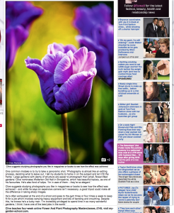 DailyMail.co.uk_Clive Nichols 210215 3