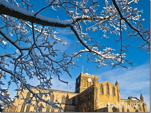 Hexham Abbey framed by snow-covered branches from trees in the Sele Park, Hexham,Northumberland, England