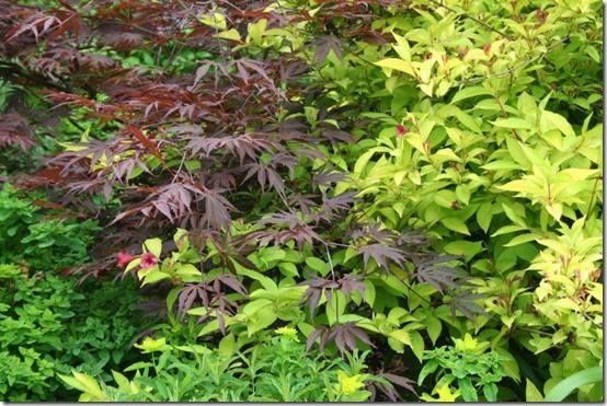 foliage effects 